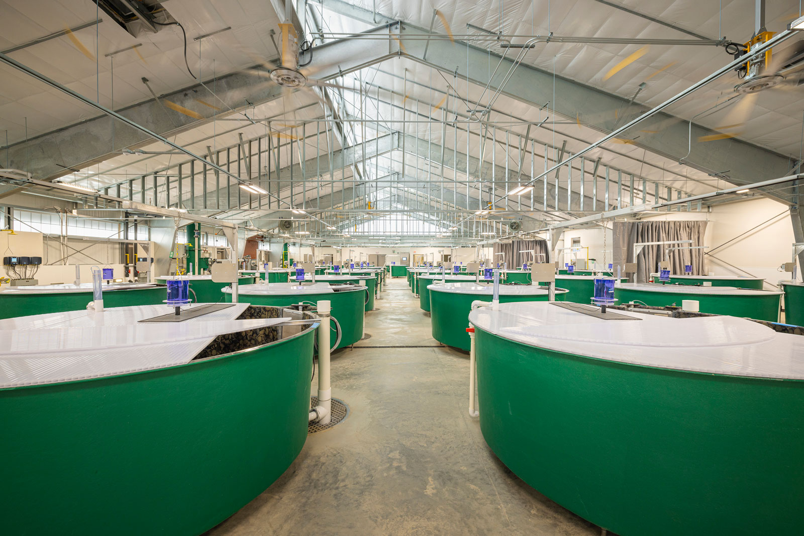 Native Salmonid Conservation Facility